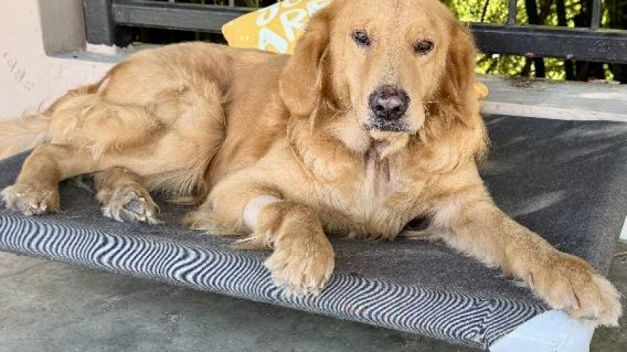 b8d4bb60cf3b285d61183507811f6079