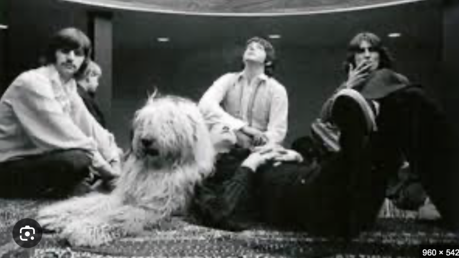 be0067947092267bf749449d7c880f53