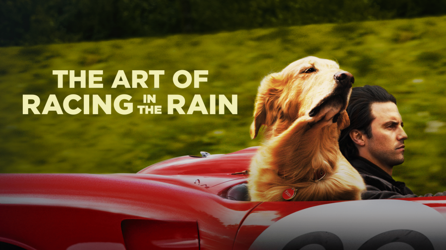 The Art of Racing in the Rain Movie Still