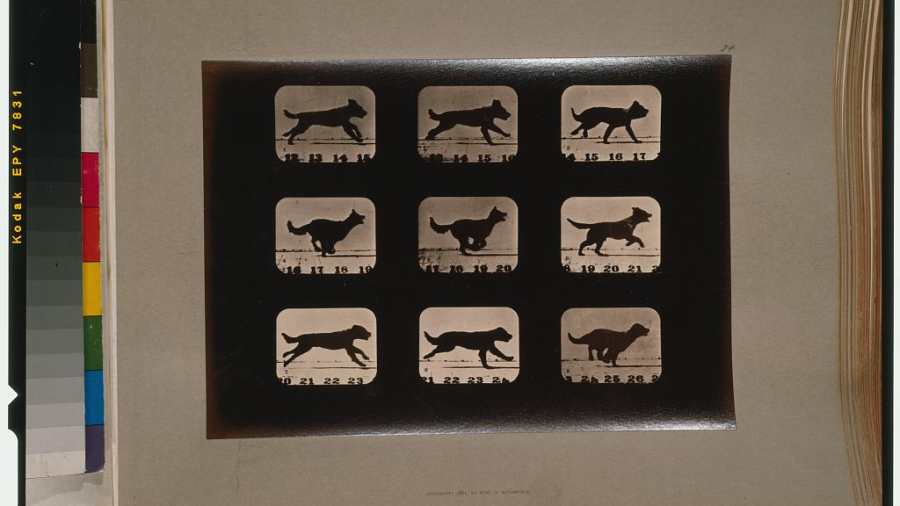 service-pnp-cph-3g10000-3g13000-3g13700-3g13775v