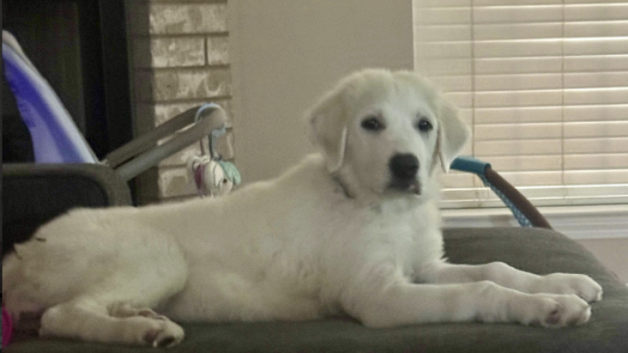 Screenshot 2025-08-25 at 1.37.40 AM