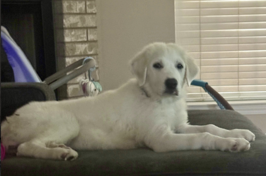 Screenshot 2025-08-25 at 1.37.40 AM