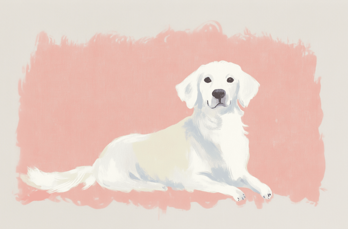 Cute white great pyrenees and Labrador mixed mutt against a pink background